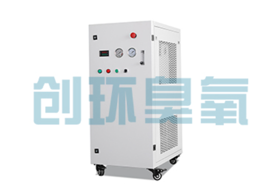 大兴安岭石斑鱼养殖水质调控完整指南：臭氧发生器配置与操作步骤