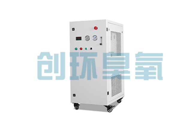 大兴安岭比传统换水更高效？臭氧发生器在石斑鱼养殖中的水质净化原理解析